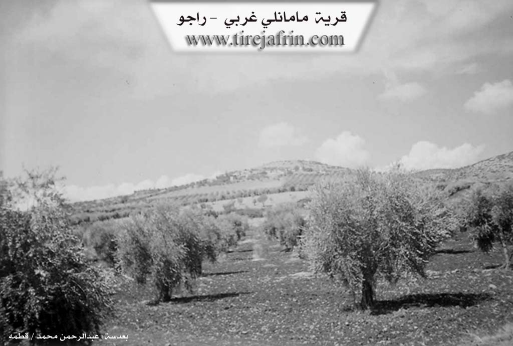 Photo of Memala